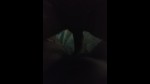 Плейлист Миниатюра 116677181-1