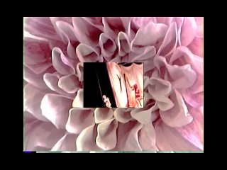 I LOVE YOU - VISIONARIES DIRECTOR'S CLUB BY BROOKE CANDY