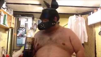 吵闹的小猪小狗