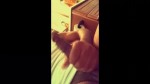 Playlist Thumb 83226471-1
