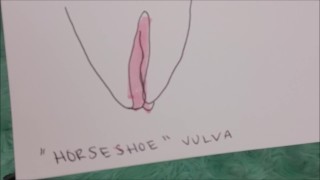 sex ed, all vaginas are unique