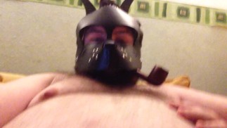 pattin the pup gut