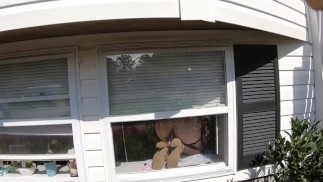 Must Watch!!! Sexy wet milf by mailwoman having a dildo orgasm!! :)
