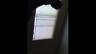 Phat Ass Redbone takes BBC