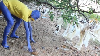 Синий Дигитмон Снимает Одежду / Боди-Арт / Обнаженный Боди-Арт #1