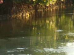 PEE at Sunset - Screenshot 14 of 16 - Petite
