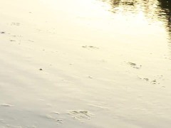 PEE at Sunset - Screenshot 15 of 16 - Public