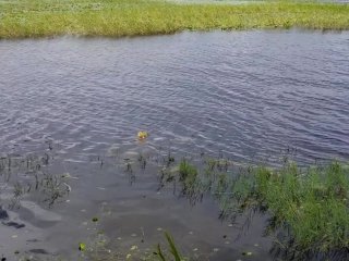 Friday 13th Crystal's Lake