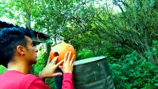 Twink is fucking a pumpkin and eating own creampie in the garden