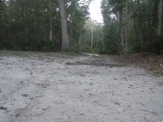 frisky blonde striptease outside in nature gets topless with nice ass