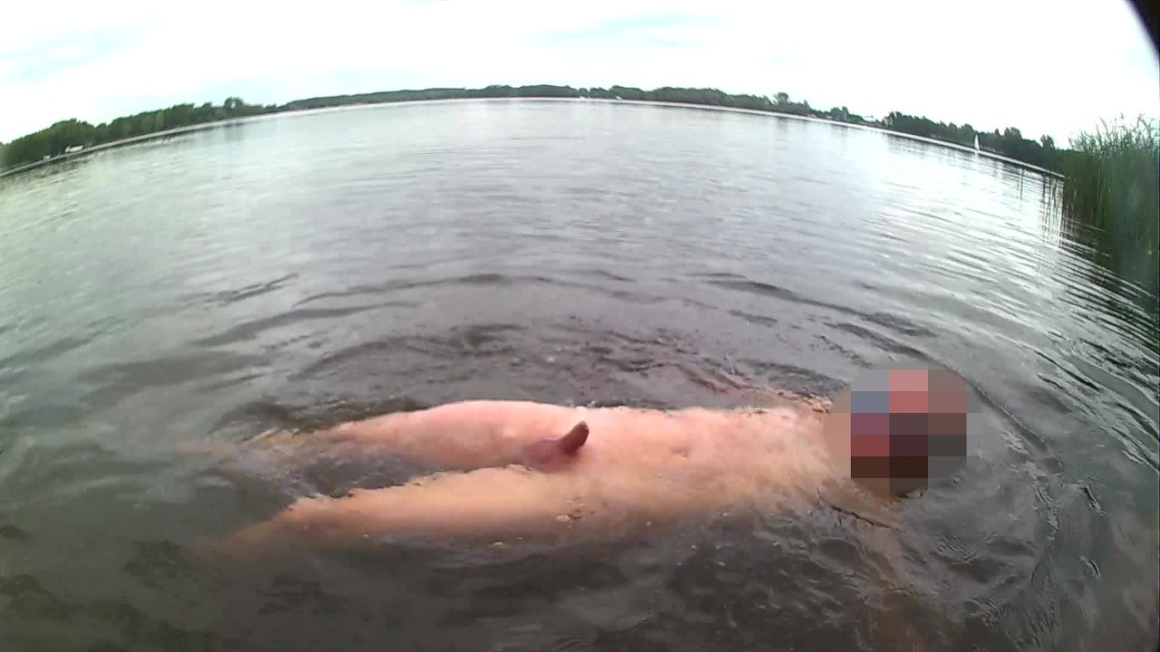 Riskantes nacktes Schwimmen im Freien im See mit weichem Schwanz (kein  Sperma)