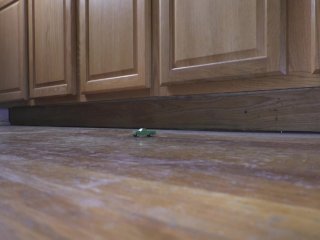 Tiny Truck in the Kitchen (slow motion)