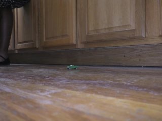 Tiny Truck in the Kitchen