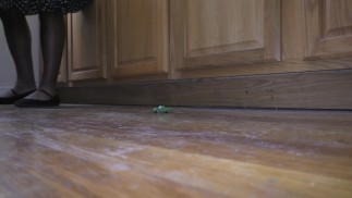 Tiny Truck in the Kitchen