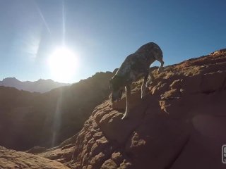 Outdoor Fucking, Sucking and smoking in Red Rock Canyon mountains