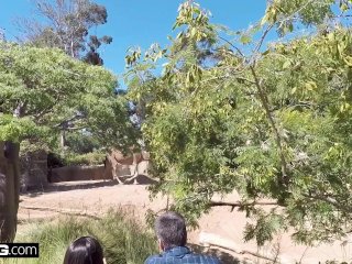 Real MILFs - Tiffany Brookes POV dick sucking in public