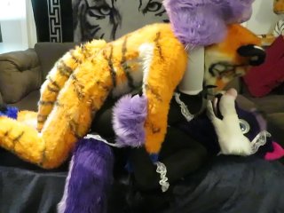 Tiger Tops Wolf