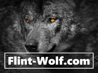 月曜日の楽しい一日！ （www.Flint-Wolf.com）