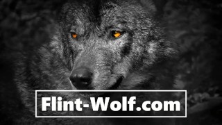 月曜日の楽しい一日！ （www.Flint-Wolf.com）