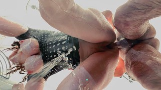 Рыжая Рыжая PAWG Большие Натуральные | Душ Моча и Гребаные Прыгающие Сиськи