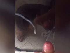 Cum like a  taking a shower 13/16