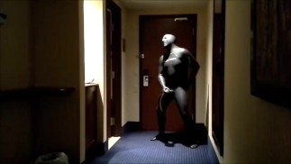 Orca wichst im Schatten