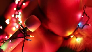 Codi Vore Aperçu De L'arbre De Noël Shibari