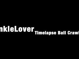 CankleLover Интервальная съемка Ball Crawl 2018-12-25
