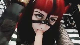 Готическая фиксация полости рта домашних животных