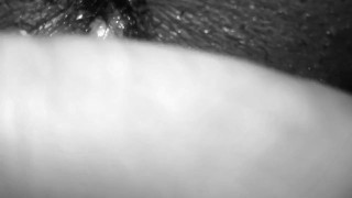 Wet ebony pussy