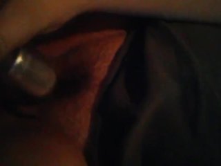 Quick Up-Close Rabbit Play