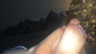 Rosa sedosa, Merry solestroke de Navidad trabajando con el pie