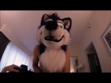 Fursuit