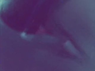 Cream Or Squirt How Bout Both