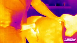 Bias In Thermal Vision