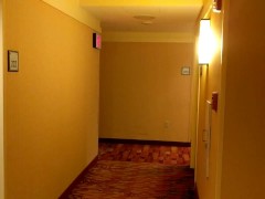 Hotels are for Stripping