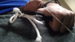 Playlist Thumb 69130142-1