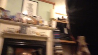 Clip zur Altersprogression