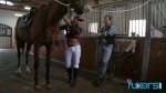 Tera Joy riding horse on farm