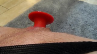 semental y su tapón anal rojo