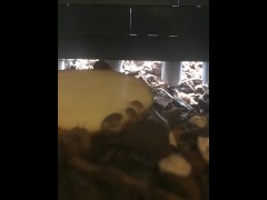 Daytime Isopod Feeding