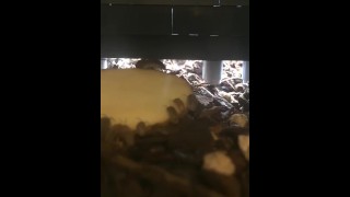 Alimentazione diurna degli isopodi