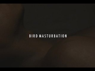creampie, creative, fun, orgasm compilation