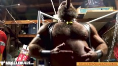 Daddy vids