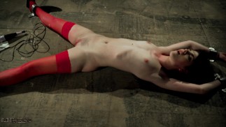bdsm 2