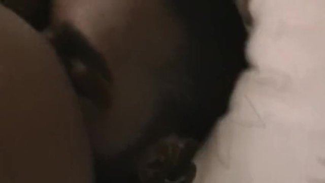 Mapona Vol. 1 | South African Porn Movie