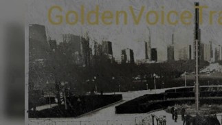 Дрессировка шлюх: унижение уродливой женщины - GoldenVoiceTrainer