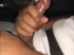 Playing with him while My Lyft driver takes me home