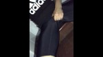 Playlist Thumb 165071541-2