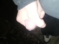 Quickie masturbating outside high. Squirt cum outside at night.